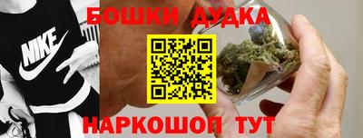 apvp Славгород
