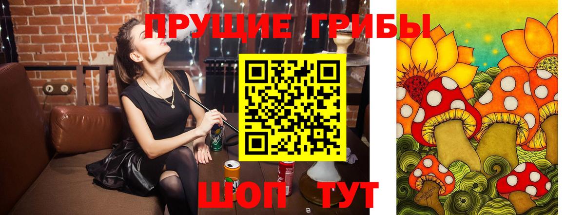 где можно купить   Вход с VPN  Ликино-Дулёво  Псилоцибиновые грибы мухоморы 